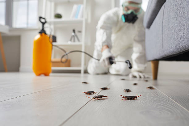 Commercial Kitchen Cockroach Control in Franklin Park